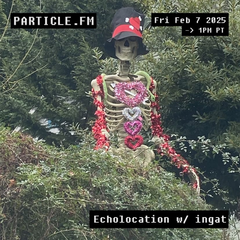 Echolocation w/ ingat - Feb 7th 2025