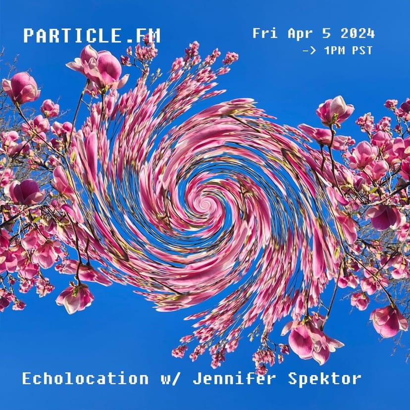 Echolocation w/ Jennifer Spektor - Apr 5th 2024