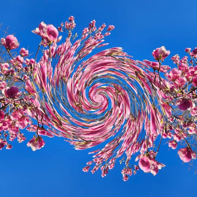 Echolocation w/ Jennifer Spektor - Apr 5th 2026