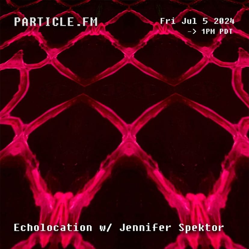 Echolocation w/ Jennifer Spektor - Jul 5th 2024