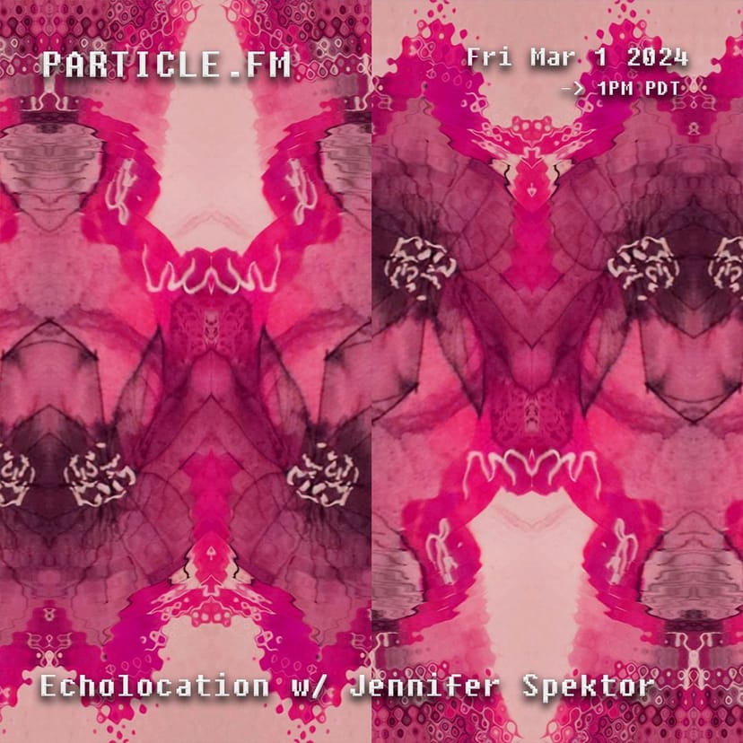 Echolocation w/ Jennifer Spektor - Mar 1st 2024