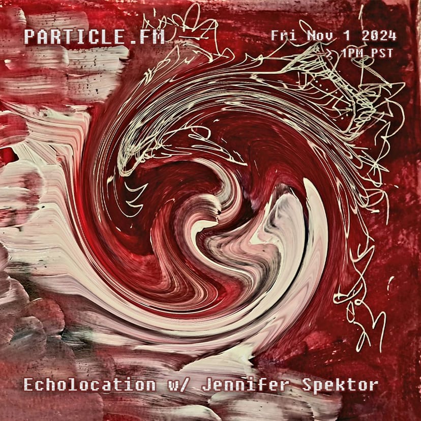 Echolocation w/ Jennifer Spektor - Nov 1st 2024