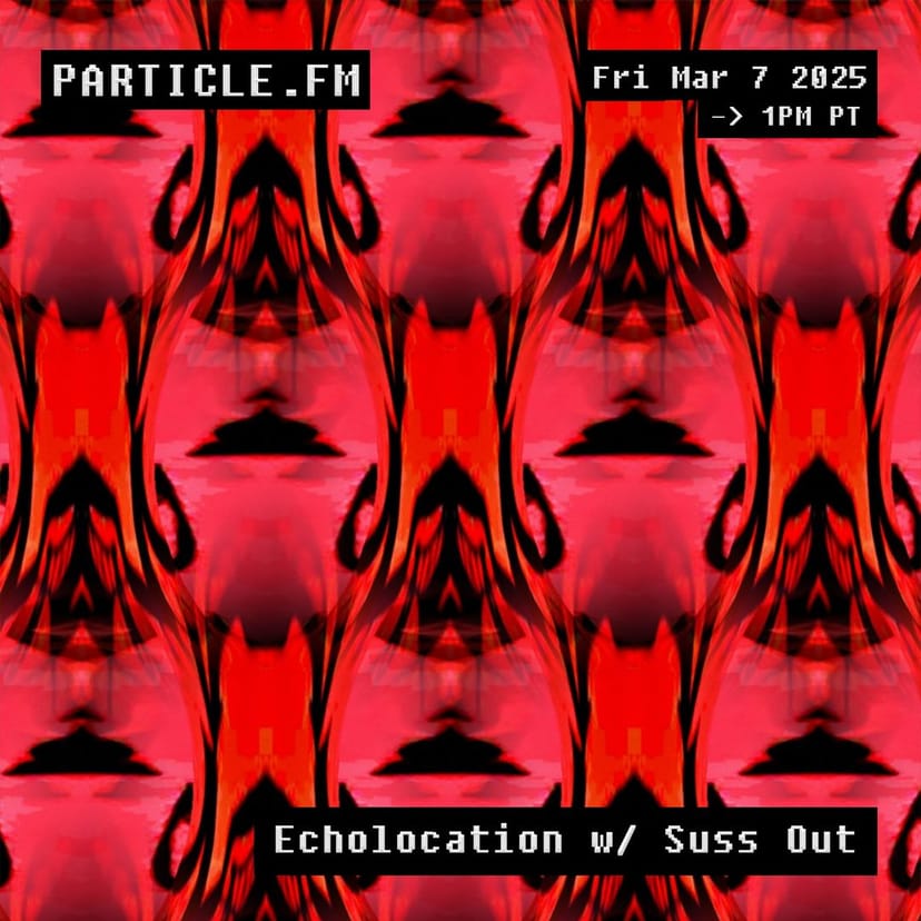 Echolocation w/ Suss Out - Mar 7th 2025