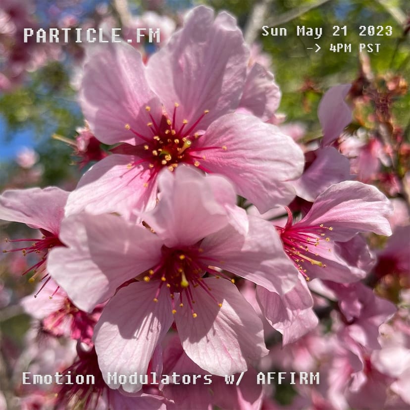 Emotion Modulators w/ Affirm - May 21st 2023
