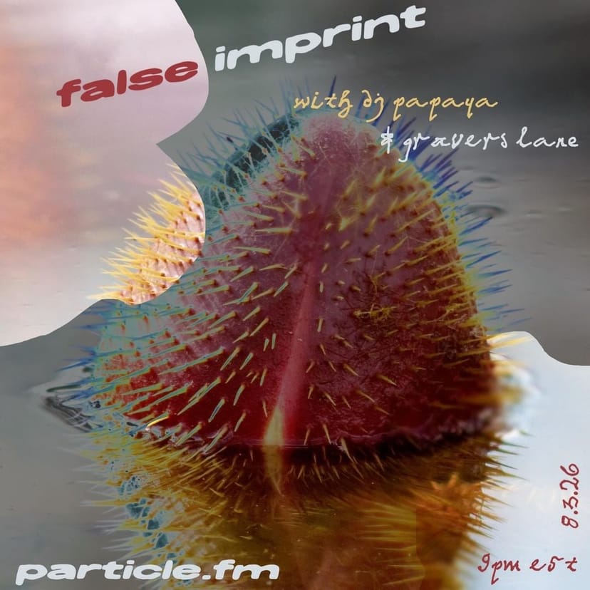 False Imprint w/ DJ Papaya + Gravers Lane - Aug 3rd 2026