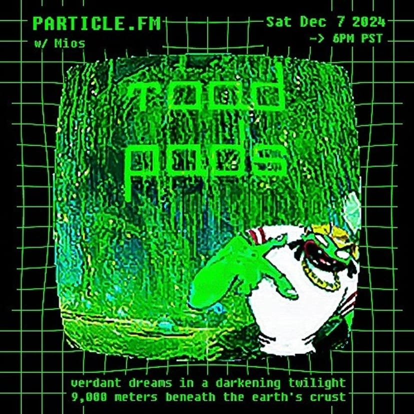 Guest Mix w/ Mios (Toad Pads) - Dec 7th 2024