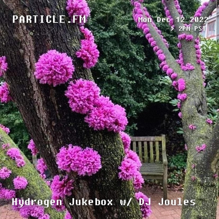 Hydrogen Jukebox w/ DJ Joules - Dec 12th 2022