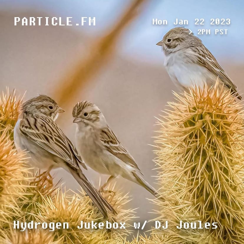 Hydrogen Jukebox w/ DJ Joules - Jan 23rd 2023