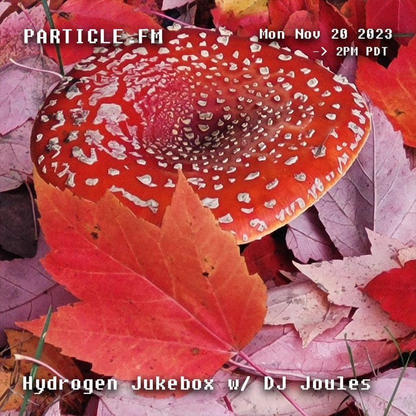 Hydrogen Jukebox w/ DJ Joules - Nov 20th 2023