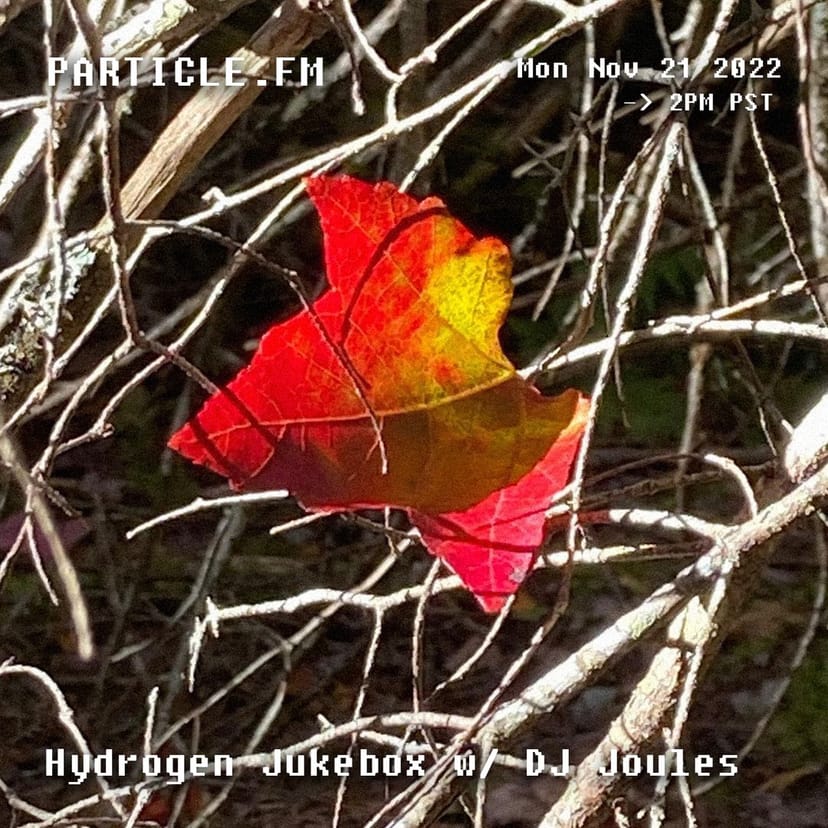 Hydrogen Jukebox w/ DJ Joules - Nov 21st 2022