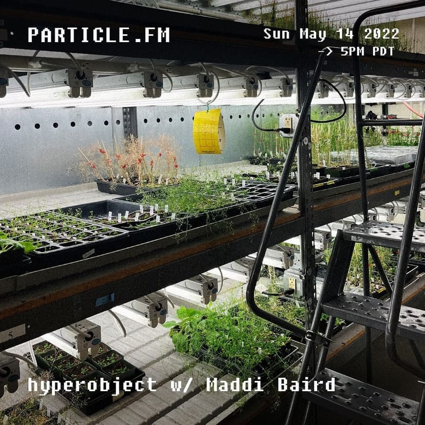 Hyperobject w/ Maddi Baird - May 15th 2022