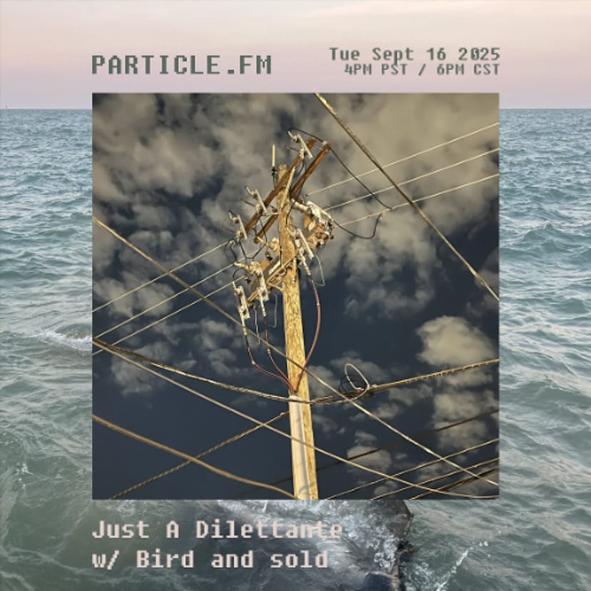 Just A Dilettante w/ Bird + sold - Sep 16th 2025