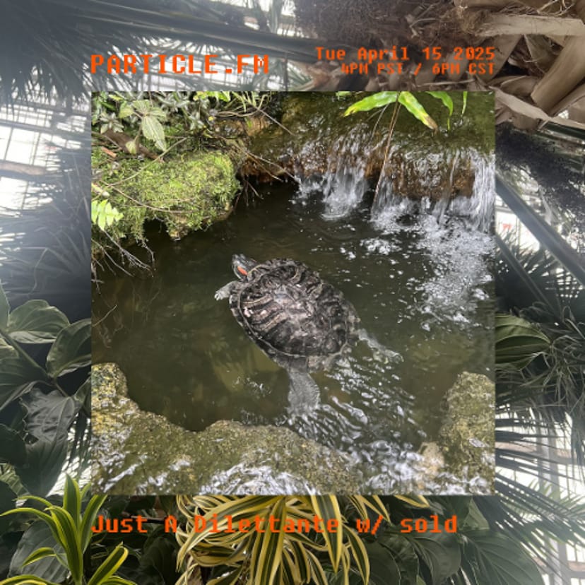 Just A Dilettante w/ sold - Apr 15th 2025