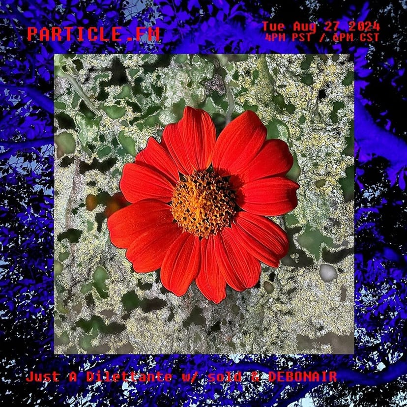 Just A Dilettante w/ sold + DEBONAIR - Aug 27th 2024