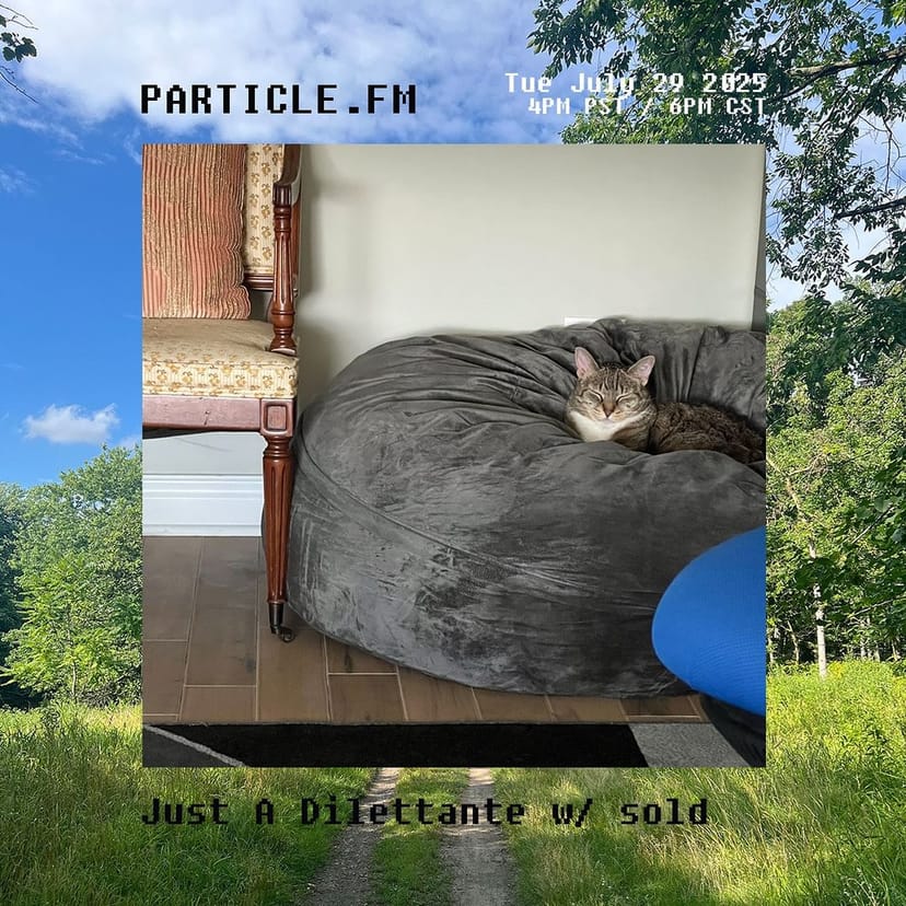 Just A Dilettante w/ sold - Jul 29th 2025