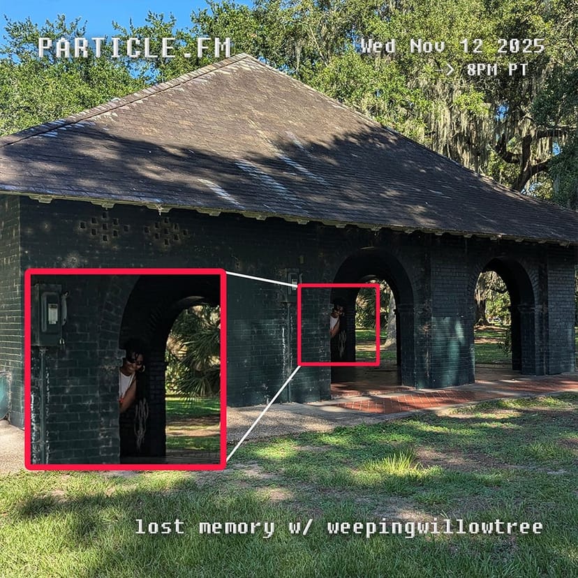 lost memory w/ weepingwillowtree - Nov 12th 2025