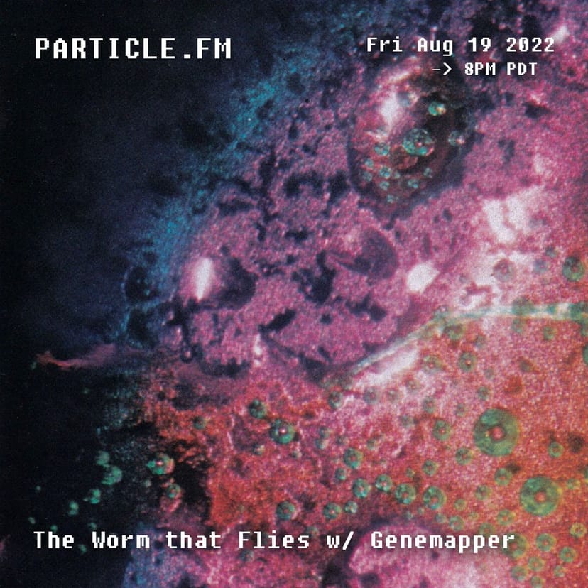 The Worm That Flies w/ Genemapper - Aug 19th 2022