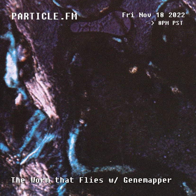 The Worm That Flies w/ Genemapper - Nov 18th 2022