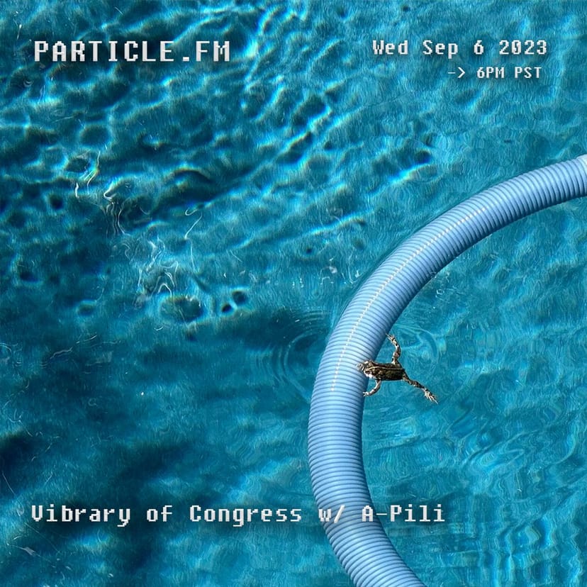 Vibrary Of Congress w/ A-Pili - Sep 6th 2023