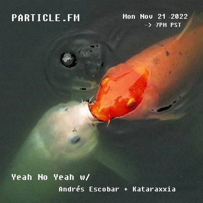 Yeah No Yeah w/ Andrés Escobar + Kataraxxia - Nov 21st 2022
