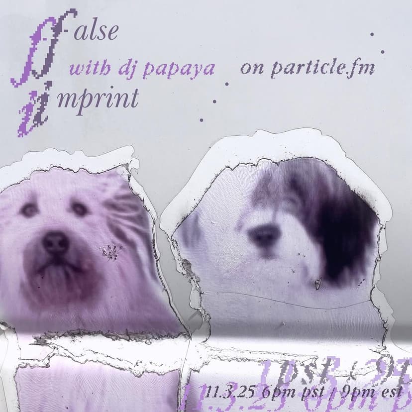 False Imprint w/ DJ Papaya - Nov 3rd 2025