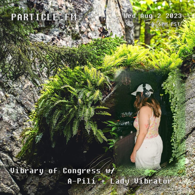 Vibrary of Congress w/ A-Pili + Lady Vibrator - Aug 2nd 2023