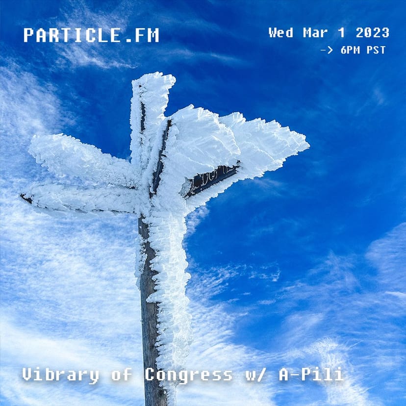 Vibrary Of Congress w/ A-Pili - Mar 1st 2023
